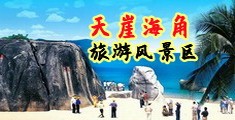 嗯嗯嗯嗯……啊啊啊啊成人网站上海南三亚-天崖海角旅游风景区
